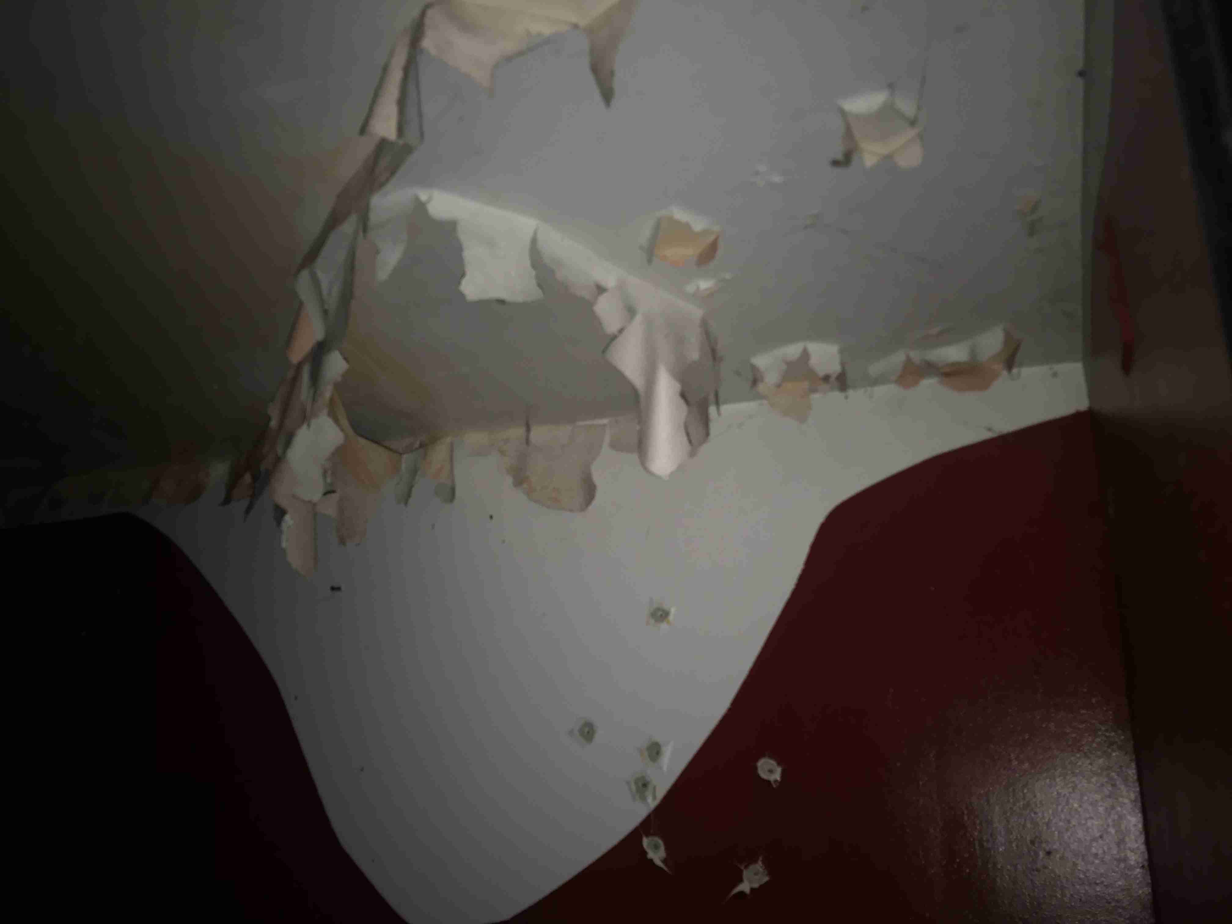 Photo Aug 21, 1 28 41 PM.jpg